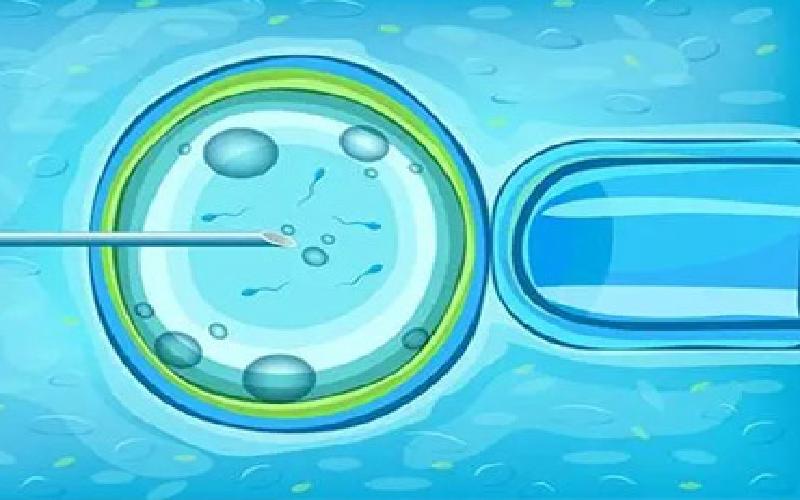 试管后体温36.5代生